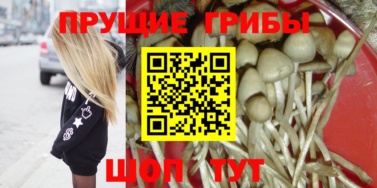 Обь  Галлюциногенные грибы Magic Shrooms  Вход с VPN 