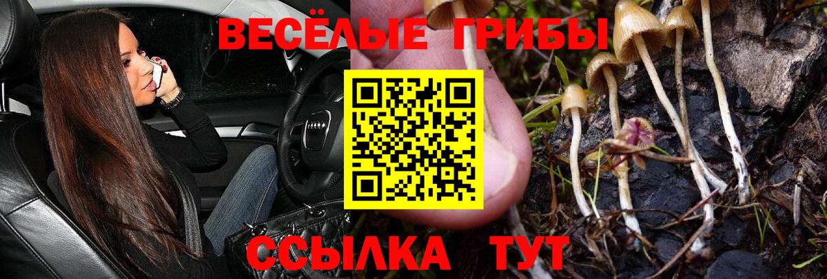 Галлюциногенные грибы ЛСД Обь